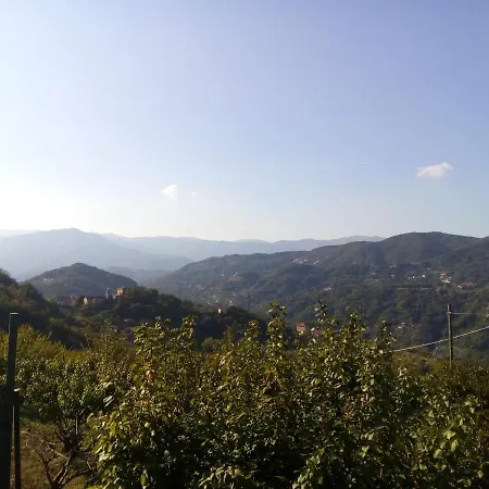 Terre E Colori *