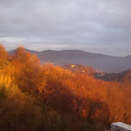 Terre E Colori