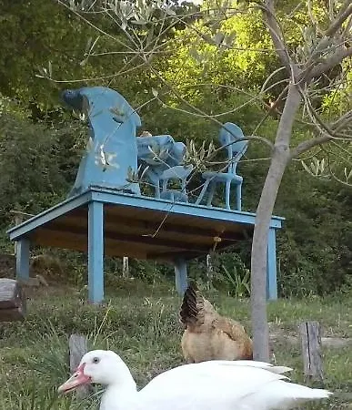 Bed & Breakfast Terre E Colori