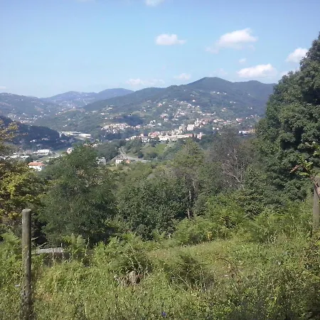 Terre E Colori Сант'Ольчезе