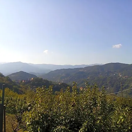 Terre E Colori * Sant'Olcese
