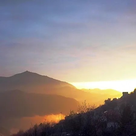 Terre E Colori Sant'Olcese