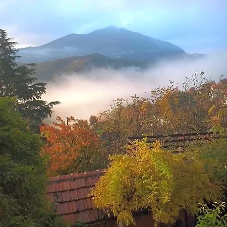 Terre E Colori * Sant'Olcese