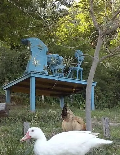 Bed & Breakfast Terre E Colori